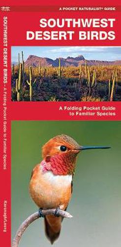 Cover image for Southwestern Desert Birds: A Folding Pocket Guide to Familiar Species