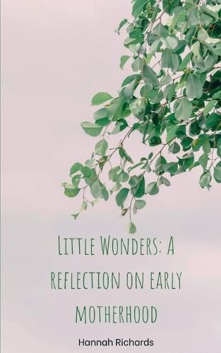 Cover image for Little Wonders