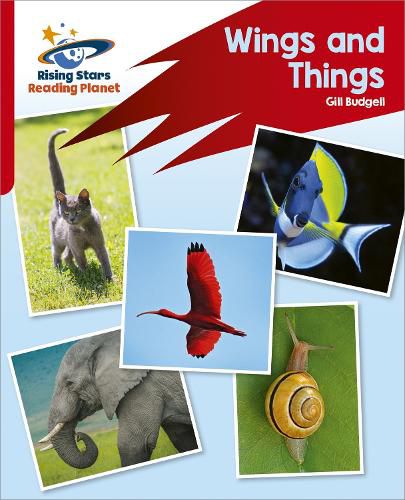 Reading Planet: Rocket Phonics - Target Practice - Wings and Things - Red B