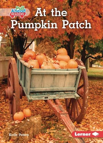 Cover image for At the Pumpkin Patch