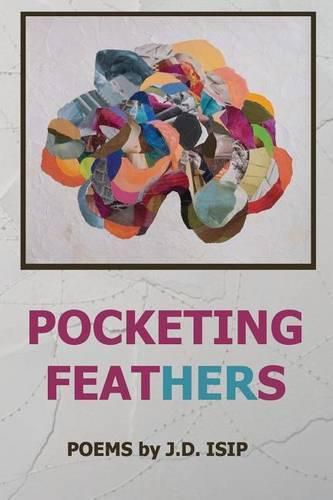 Cover image for Pocketing Feathers