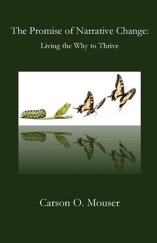 Cover image for The Promise of Narrative Change