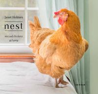 Cover image for Nest: Rescued Chickens at Home