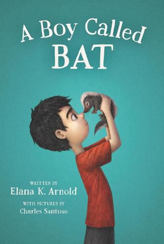 Cover image for A Boy Called Bat