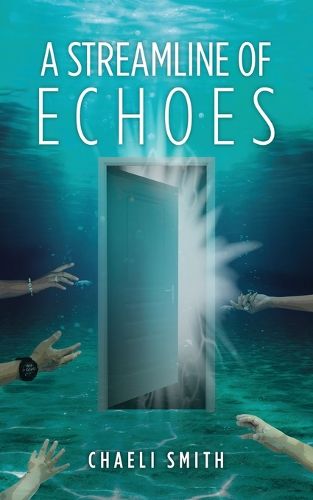 Cover image for A Streamline of Echoes