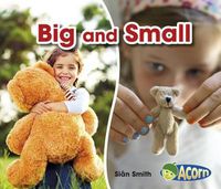 Cover image for Big and Small (Opposites)