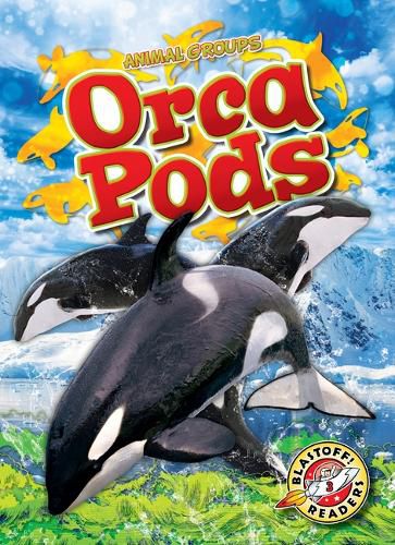 Cover image for Orca Pods