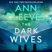 Cover image for The Dark Wives