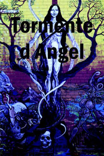 Cover image for Tormented Angel