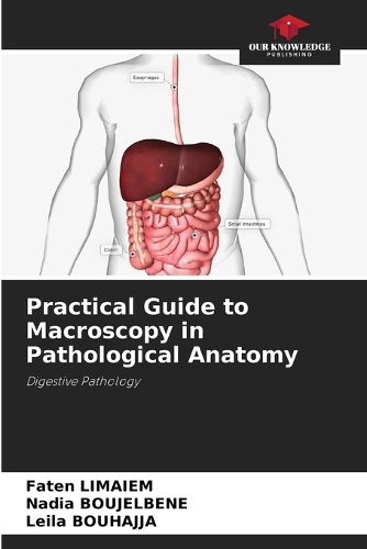 Cover image for Practical Guide to Macroscopy in Pathological Anatomy