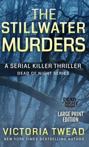 Cover image for The Stillwater Murders (LARGE PRINT)