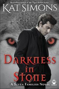 Cover image for Darkness in Stone