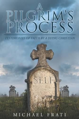 Cover image for A Pilgrim's Process