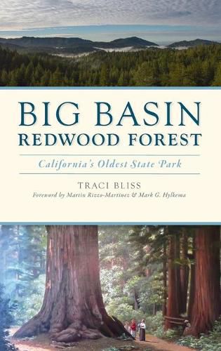 Big Basin Redwood Forest: California's Oldest State Park