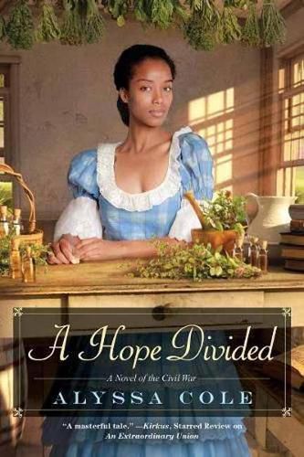 Cover image for A Hope Divided