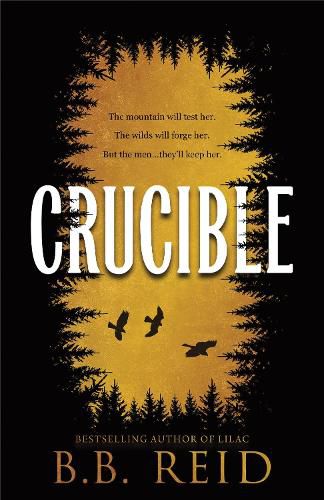 Cover image for Crucible