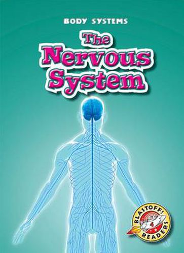 Cover image for The Nervous System