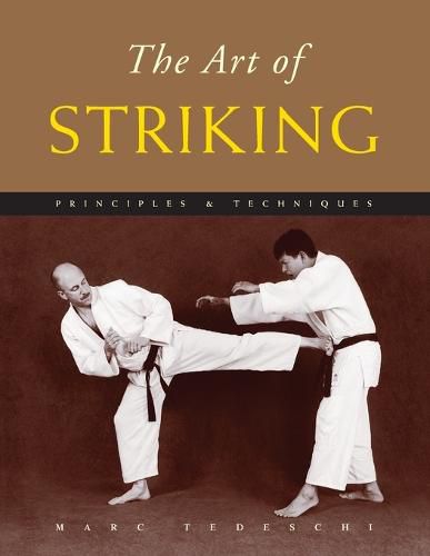 The Art of Striking: Principles & Techniques