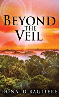 Cover image for Beyond the Veil