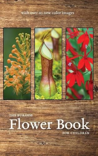 The Burgess Flower Book with new color images