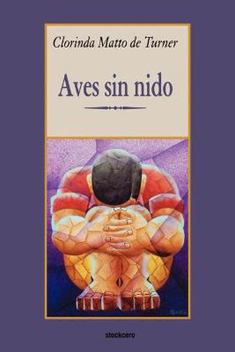 Cover image for Aves Sin Nido