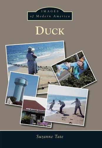 Cover image for Duck