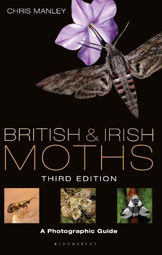 Cover image for British and Irish Moths: Third Edition: A Photographic Guide