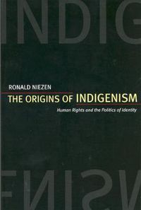 Cover image for The Origins of Indigenism: Human Rights and the Politics of Identity