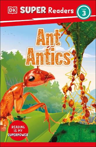 Cover image for DK Super Readers Level 3 Ant Antics
