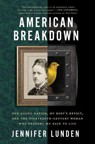 Cover image for American Breakdown