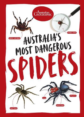 Cover image for Australia's Most Dangerous Spiders