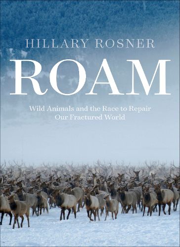 Cover image for Roam
