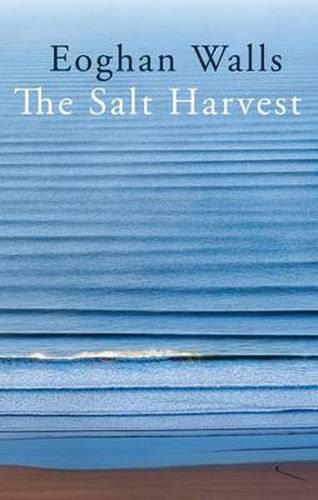 Cover image for The Salt Harvest