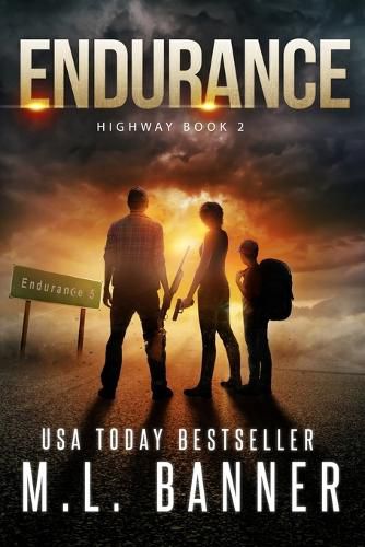 Cover image for Endurance