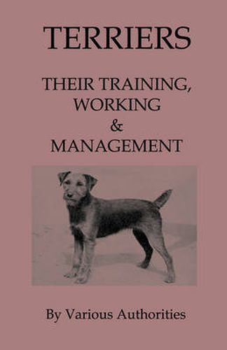 Cover image for Terriers - Their Training, Work & Management