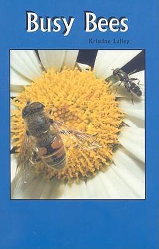 Cover image for Busy Bees