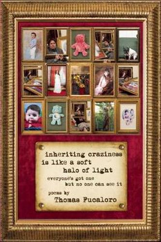 Cover image for Inheriting Craziness Is Like a Soft Halo of Light: everyone's got one but no one can see it
