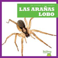 Cover image for Las Aranas Lobo (Wolf Spiders)