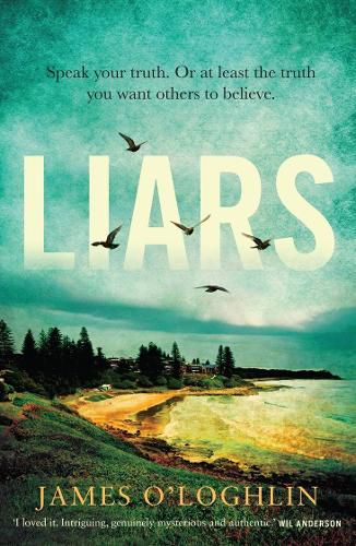 Cover image for Liars