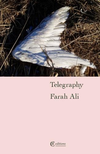 Cover image for Telegraphy