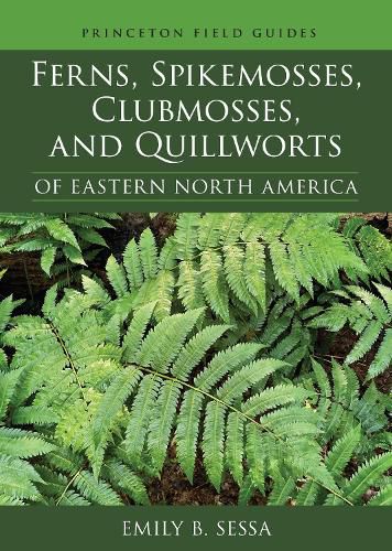 Cover image for Ferns, Spikemosses, Clubmosses, and Quillworts of Eastern North America