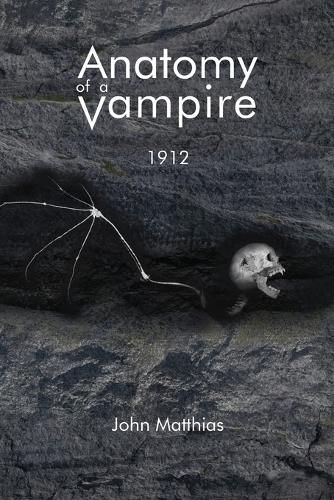 Cover image for Anatomy of a Vampire
