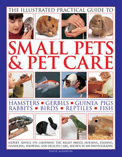 Cover image for Illustrated Practical Guide to Small Pets & Pet Care