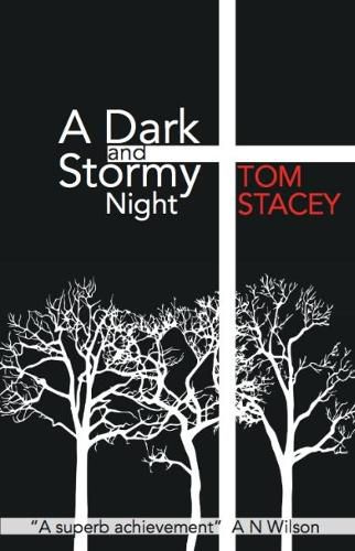 Cover image for A Dark and Stormy Night