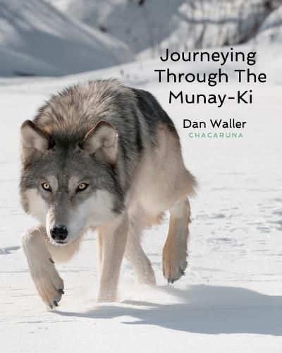 Cover image for Journeying Through The Munay-Ki