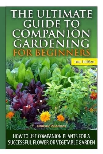 Cover image for The Ultimate Guide to Companion Gardening for Beginners