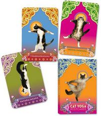 Cover image for Cat Yoga Postcards
