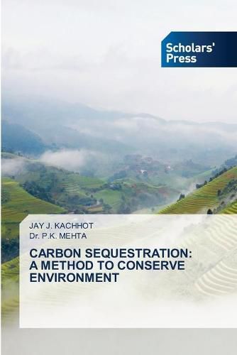 Cover image for Carbon Sequestration