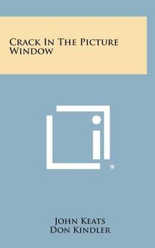 Cover image for Crack in the Picture Window