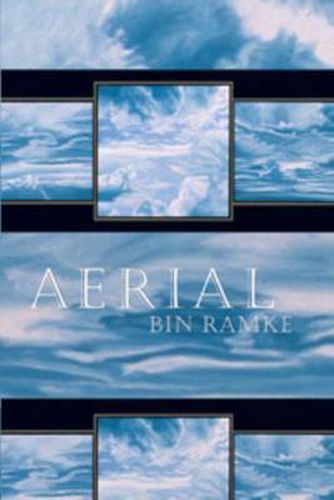 Cover image for Aerial